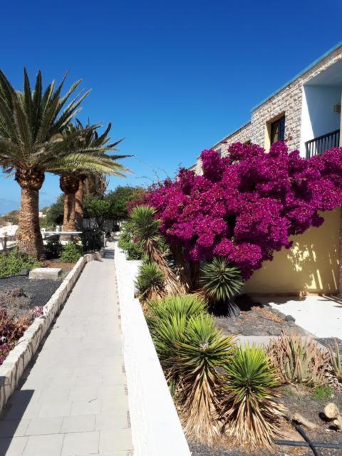 Maravilla Bungalows El Cotillo  Экстерьер фото